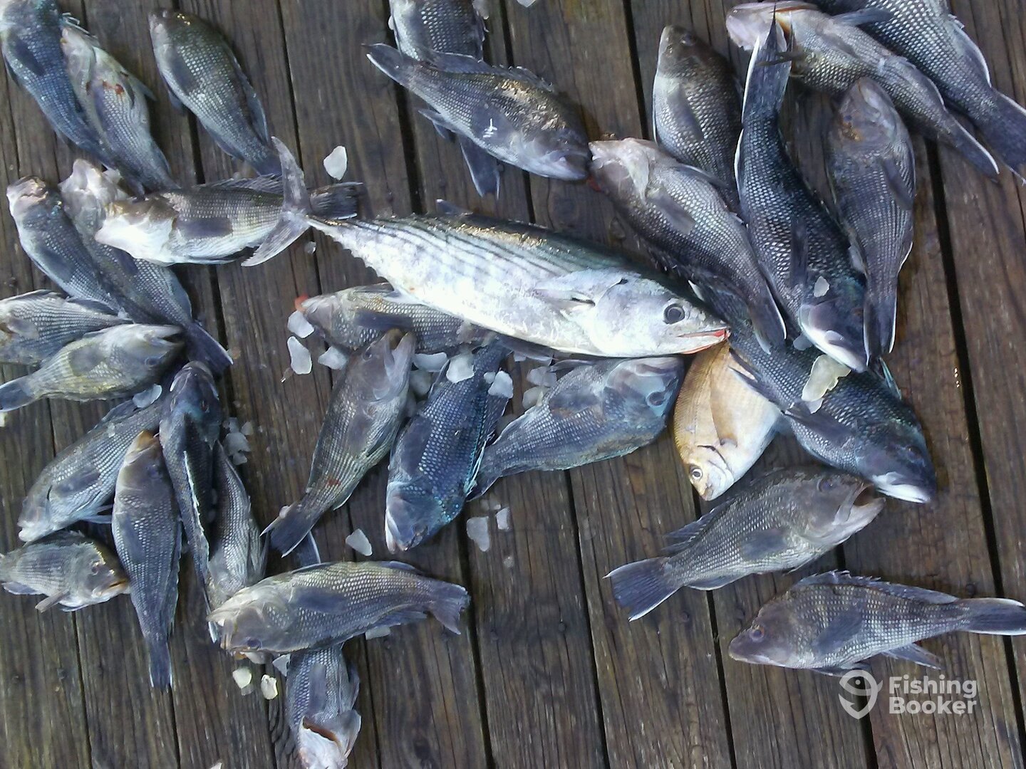 Atlantic Beach Report Photo 0