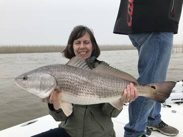 Venice Report Photo 1