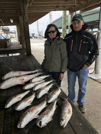 Venice Report Photo 2