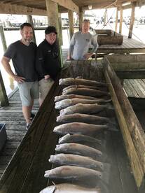 Venice Report Photo 2