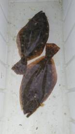 Dinner and breakfast