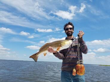 The big reds are in!