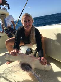 Hollywood Report Photo 2