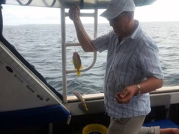 Cuvu Report Photo 2