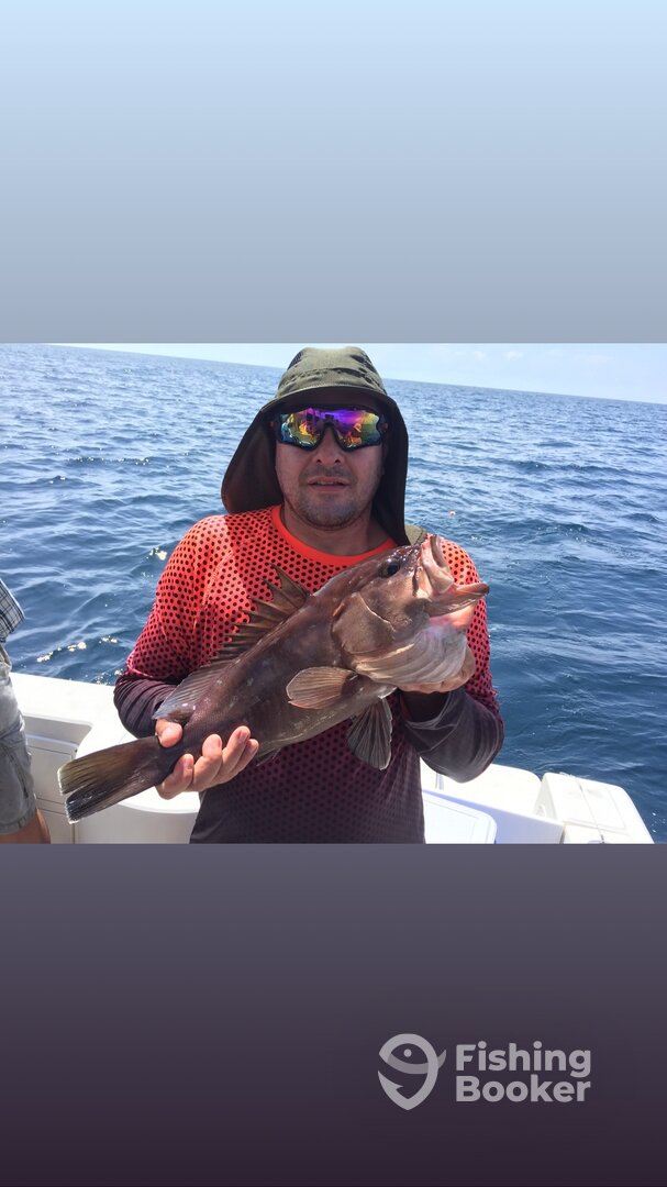 Herradura Report Photo 0