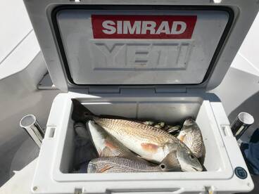 Mount Pleasant Report Photo 1