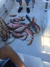 Fort Pierce Report Photo 2