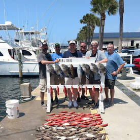 Panama City Report Photo 1
