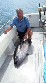 Bigeye tuna 