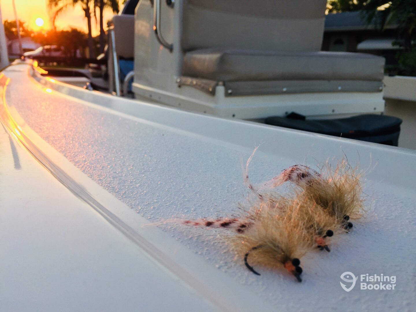 Miami Report Photo 0