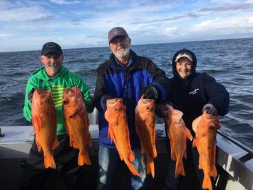 The Lingcod bite has slowed down, but lo