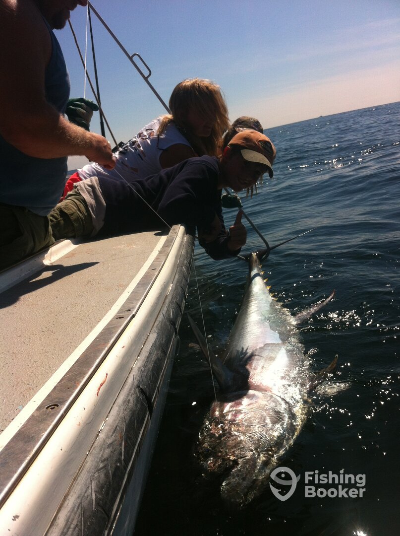 Bluefin tuna off North Lake, PEI - July 2014
