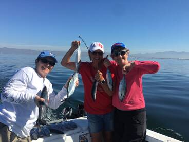 Inside the bay action