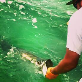 Islamorada Report Photo 2