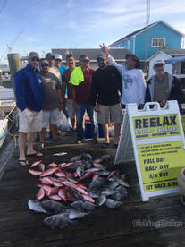 Decent day of fishing !