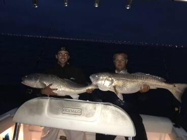 Virginia Beach Report Photo 2