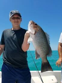 Show me the SNAPPER!