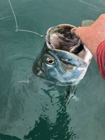 Nokomis Report Photo 2