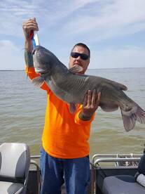 Cats are biting on the Sandusky Bay 