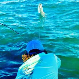 Islamorada Report Photo 2