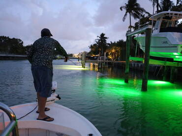 Miami Report Photo 2