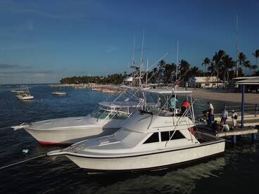 Marlin fever show his experience and cre