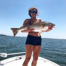 The BULLS are back!!