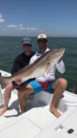 Dinosaurs STILL exist!