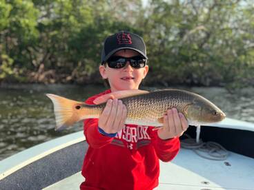 Naples Report Photo 2