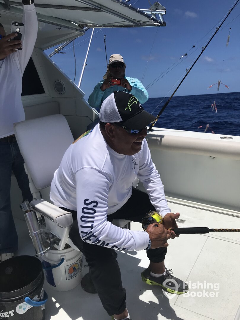 Punta Cana Report Photo 0