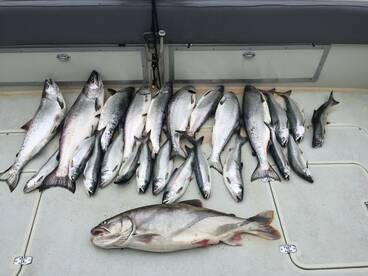 St. Catharines Report Photo 2