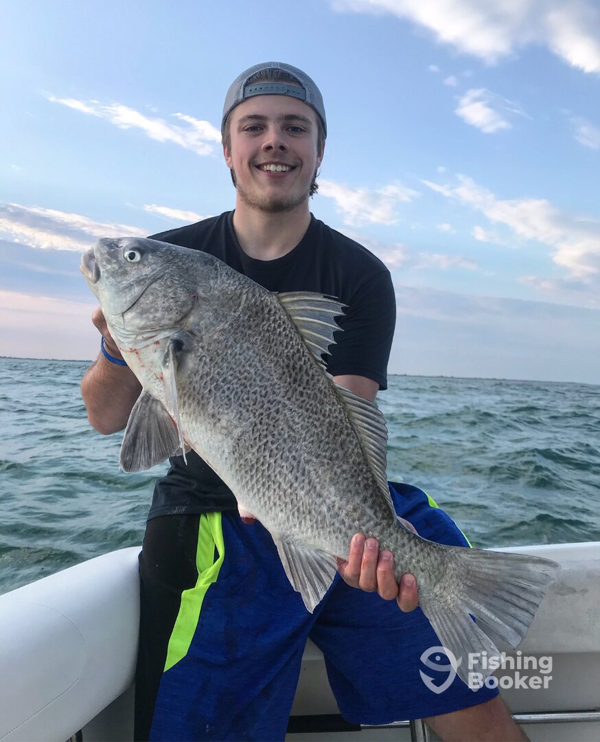 Virginia Beach Report Photo 0