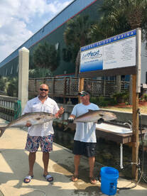 Destin Report Photo 2