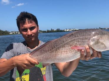 Pictures don’t lie 