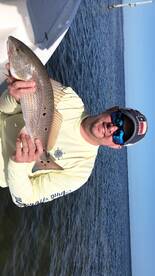 Sarasota Report Photo 2