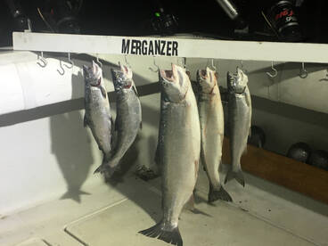 Waukegan Report Photo 1