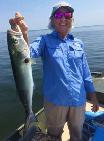 Steinhatchee Report Photo 2