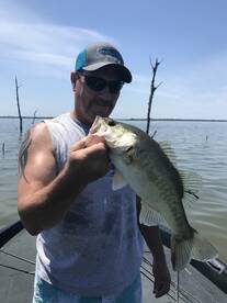 Sulphur Springs Report Photo 1