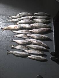 Made a night time run to the grocery sto