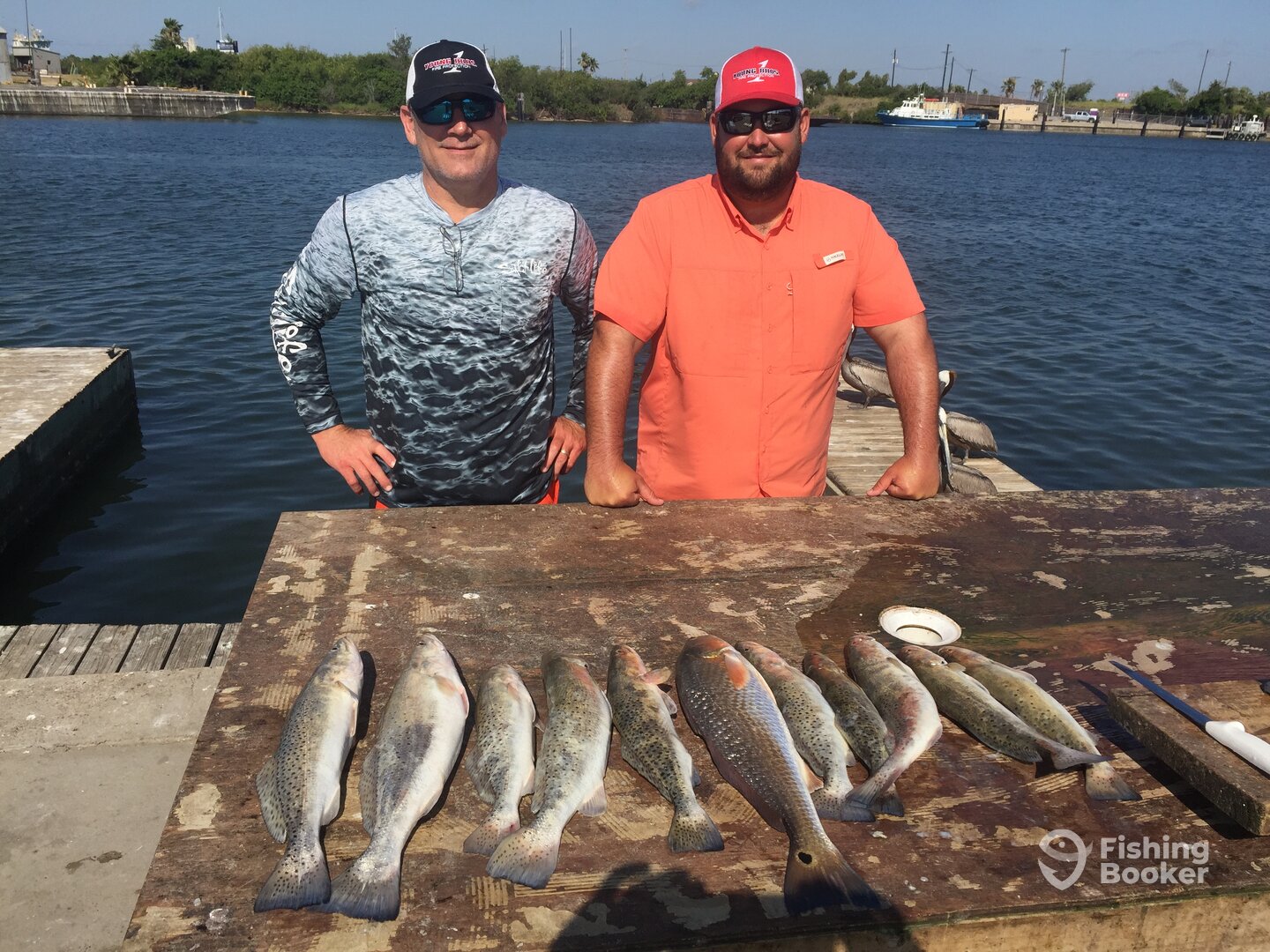 Aransas Pass Report Photo 0