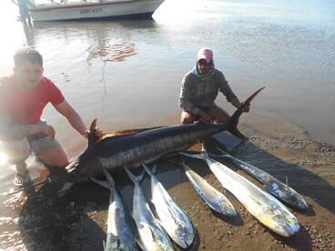 6dorados and one marlin