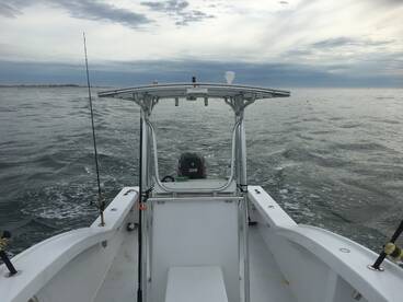 Ocean City Report Photo 2