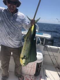 Orange Beach Report Photo 1