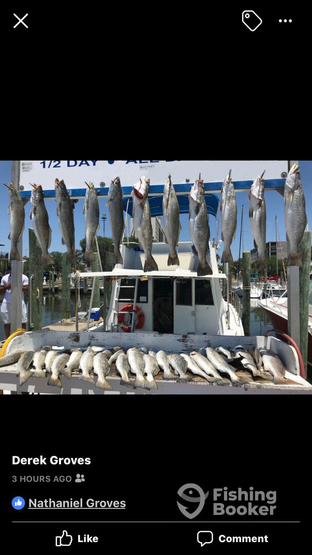 Biloxi Report Photo 0