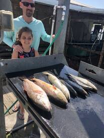 Port O'Connor Report Photo 1