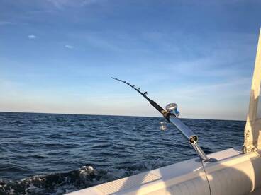 Quick afternoon troll 