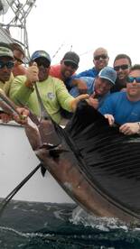 Quepos Report Photo 1