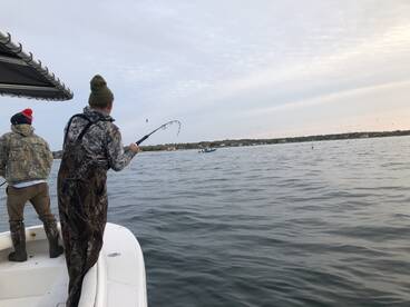 Seabass Opener