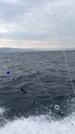 Herradura Report Photo 2