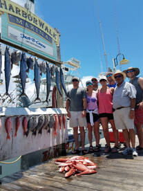Kings Vermilion Snapper and Gray Trigger